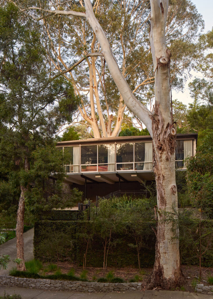 Mid-century house in Studley Park
