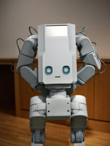 Voxel home robot