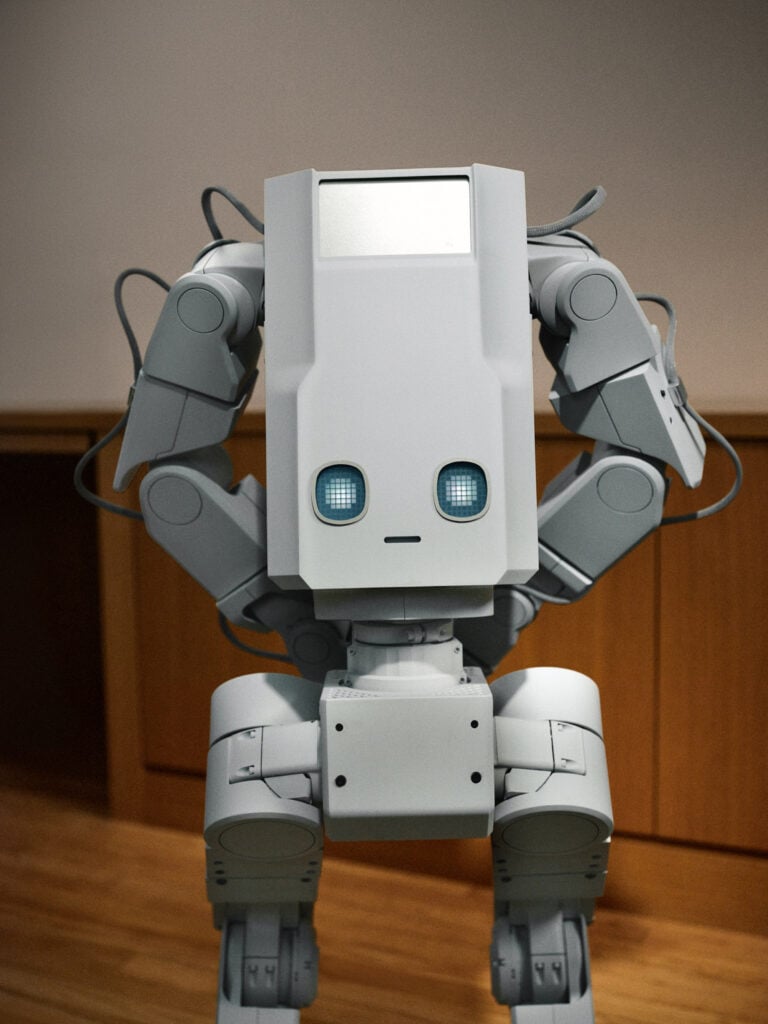 Voxel home robot