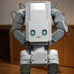 Voxel home robot